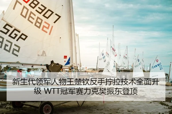 新生代领军人物王楚钦反手拧拉技术全面升级 WTT冠军赛力克樊振东登顶